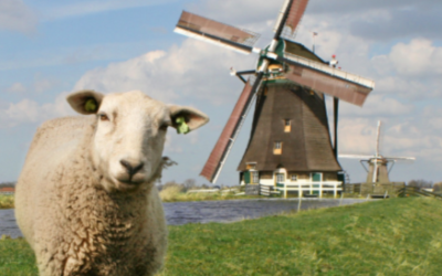 Toerpraatje februari