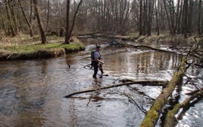 Prachtige tocht op de Niers en de Swalm.