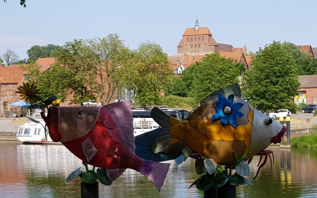 Haveltrektocht juni 2018