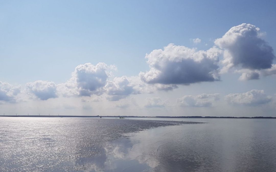 Maasvlakte Stellendam