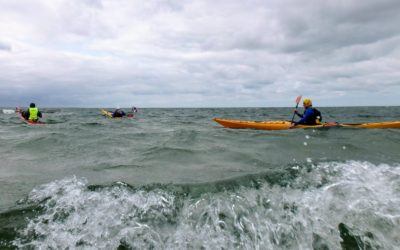 Geslaagde voorbereiding Duitse Wadden