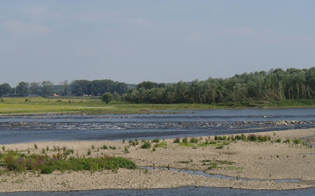 Verslag van Ries over de Grensmaas en de Roer