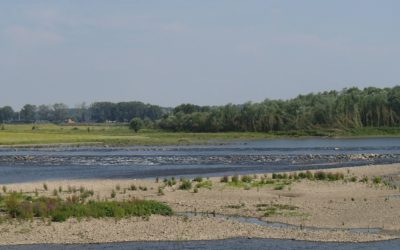 Verslag van Ries over de Grensmaas en de Roer
