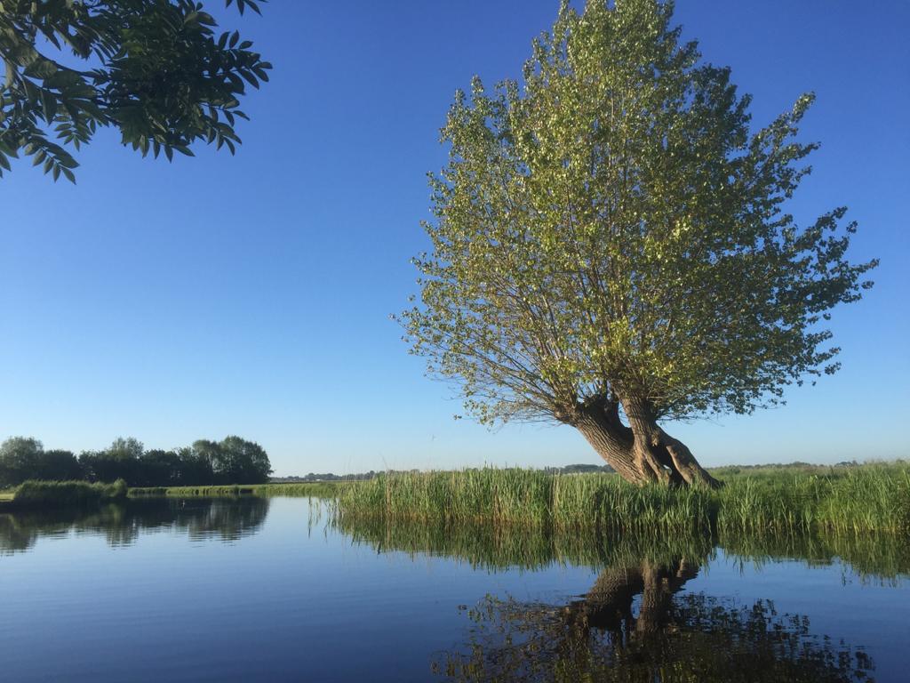 wetering-4 kaalslag
