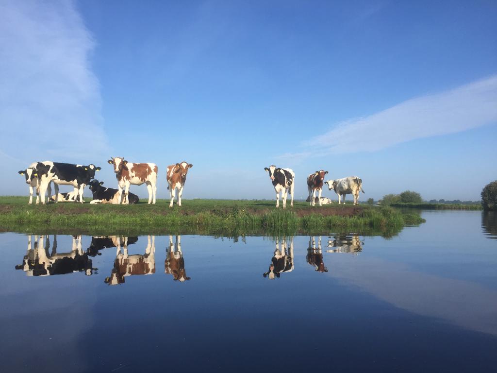 wetering-5 Frankrijk