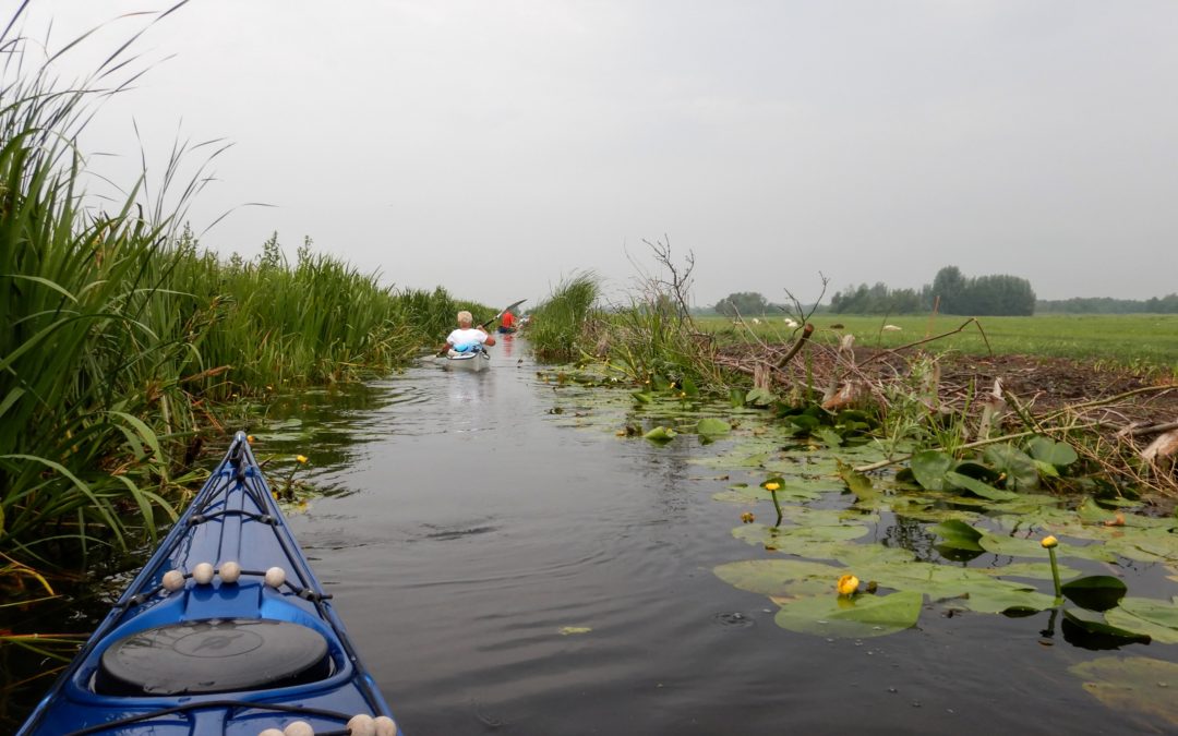 Maandtocht Meije, Nieuwkoop en purperreiger