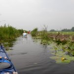 Maandtocht Meije, Nieuwkoop en purperreiger