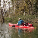 Trektocht Mark en Biesbosch