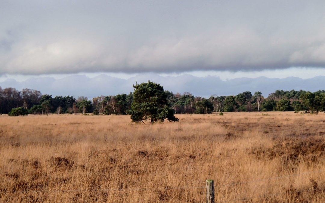 Buurserbeek