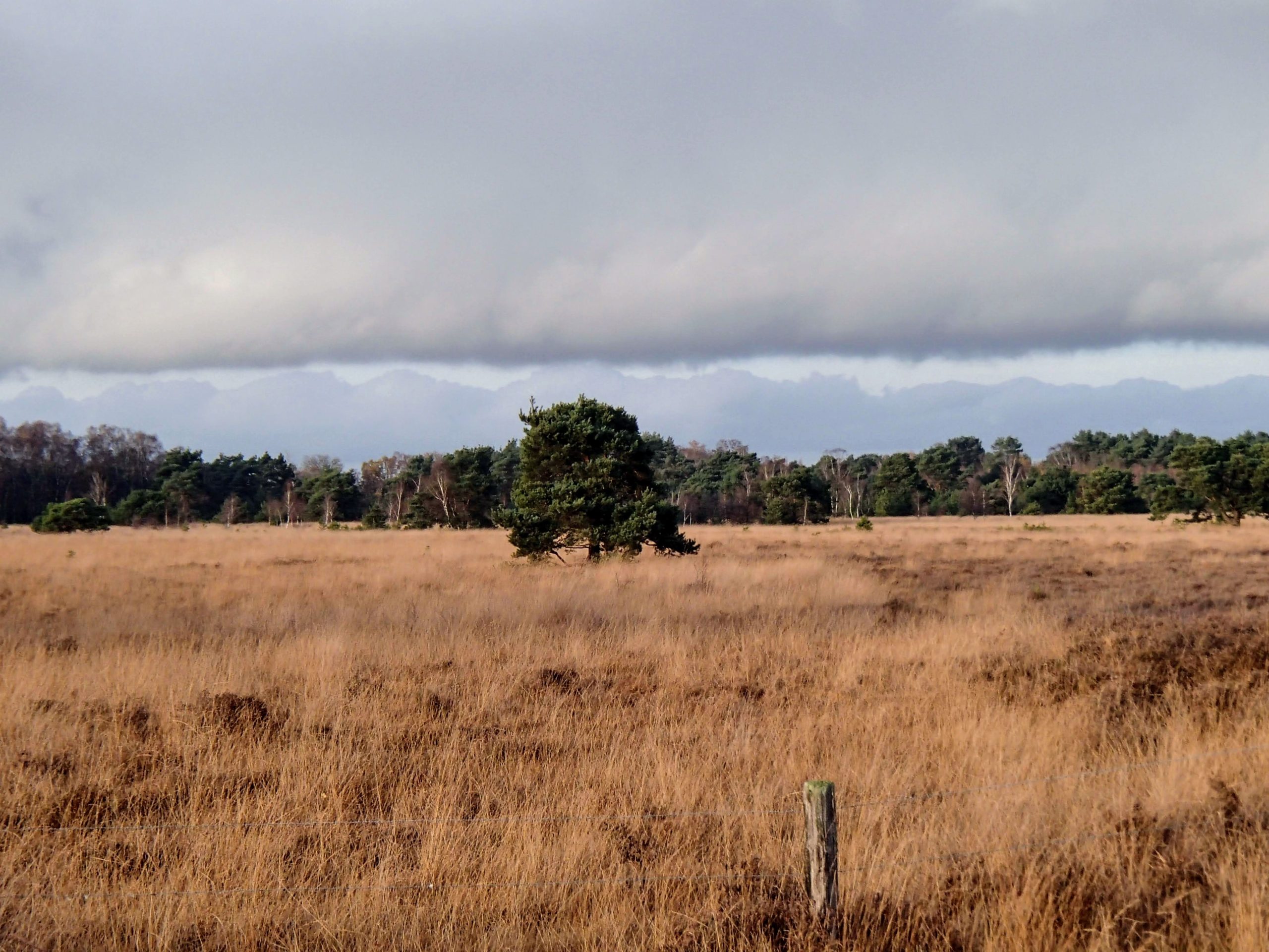 PB220145.JPG Frankrijk