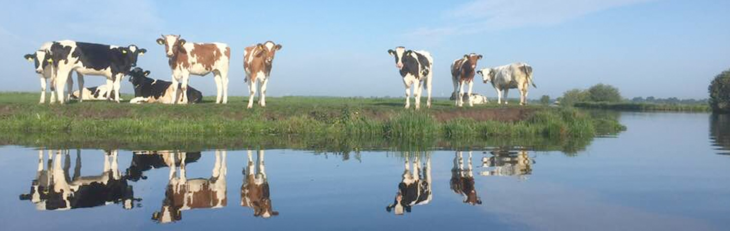 zwammerdam-wetering-k